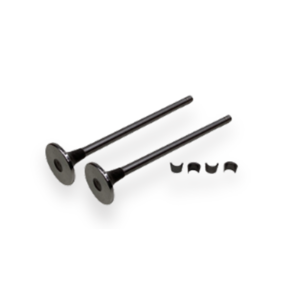 Válvula Admision Cummins ISL 8.9