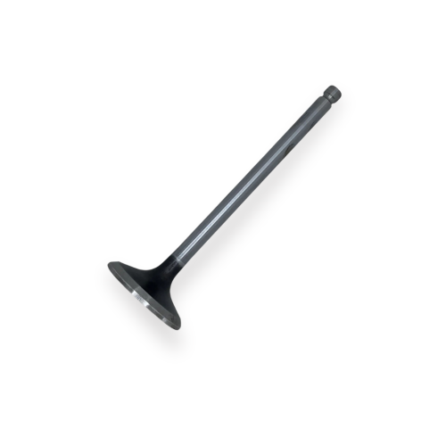 Válvula De Escape Cummins ISL 8.9