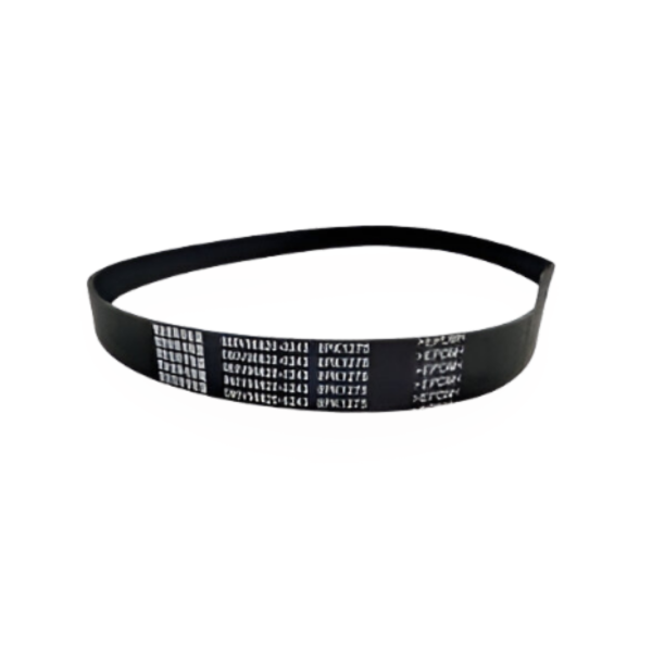 Faja Alternador Man D0836