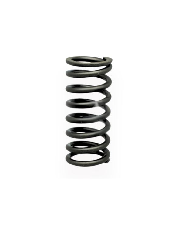 Resorte Válvula OM460